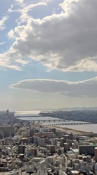 sd足球比分-探秘SD足球比分，绿茵场风云的数字密码